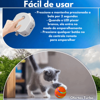 Bola de Controle Remoto para Cães e Gatos