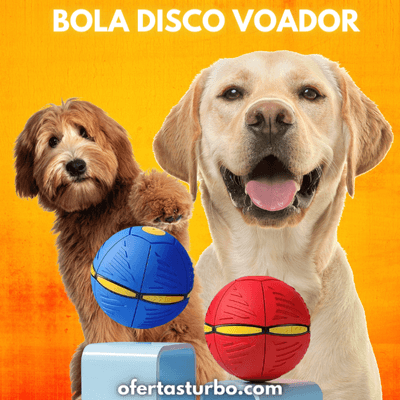 Bola de Disco Voador - Brinquedo para Cães