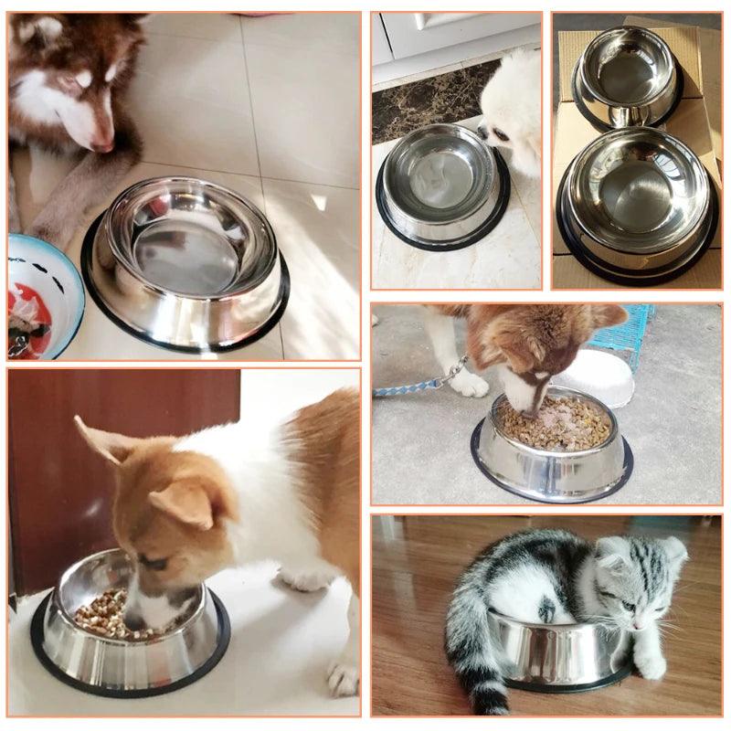 Comedouro para Cães e Gatos em Ixox